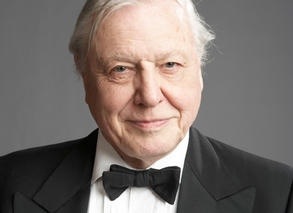 King of the jungle Sir David&nbsp;Attenborough