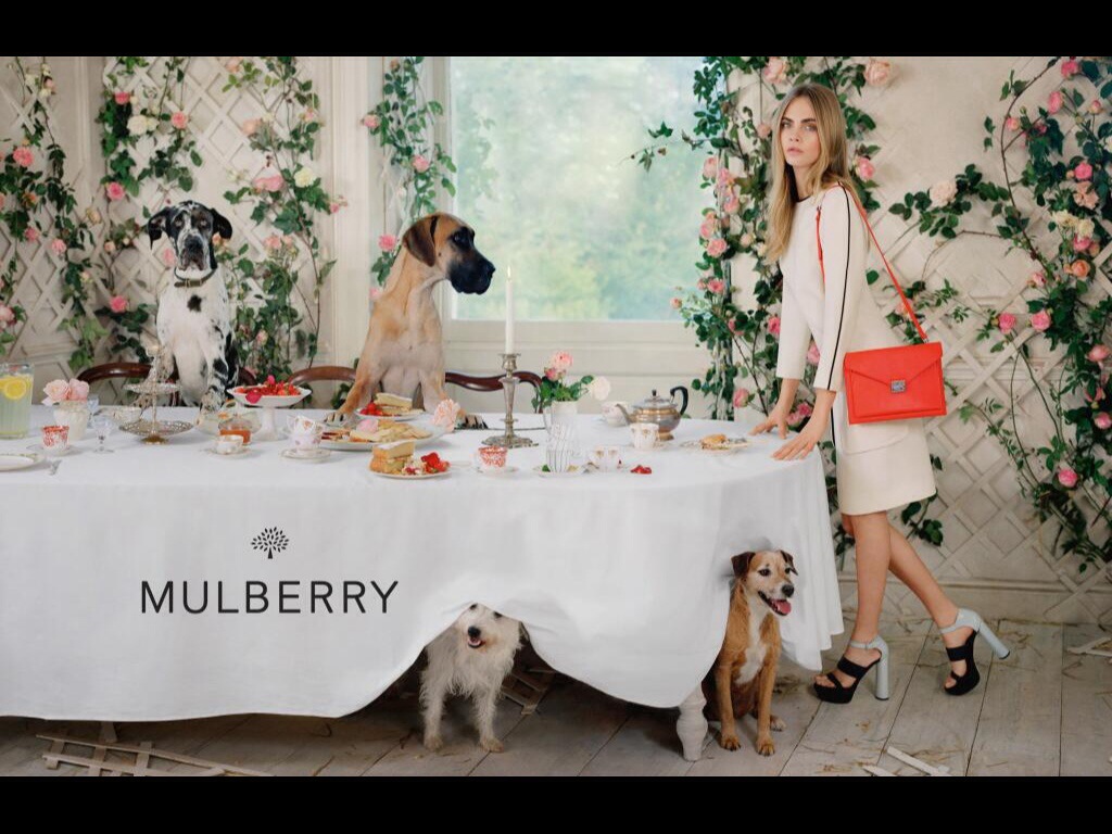Cara Delevingne for&nbsp;Mulberry
