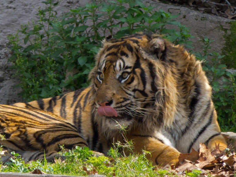 Make Barcelona your choice this&nbsp;year