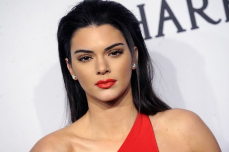 Kendall Jenner talks about her perfect man and the first time she met Karl Largerfeld