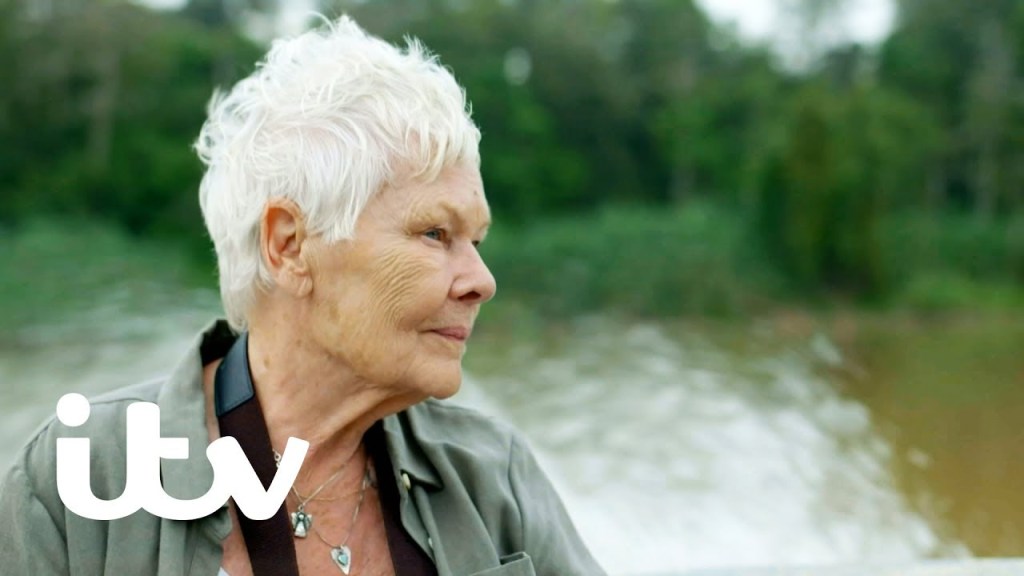 Judi Dench’s Wild Borneo&nbsp;Adventure