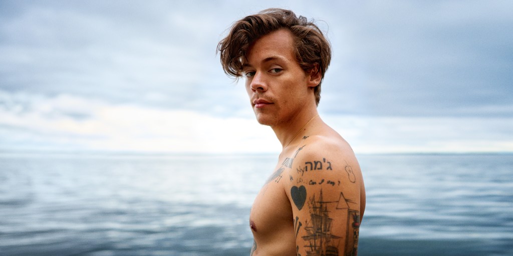 Harry Styles just landed his next movie&nbsp;role